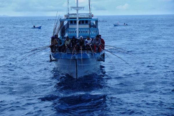Tradisi nelayan memancing ikan cakalang di Maluku bagian utara. (foto : ADM)