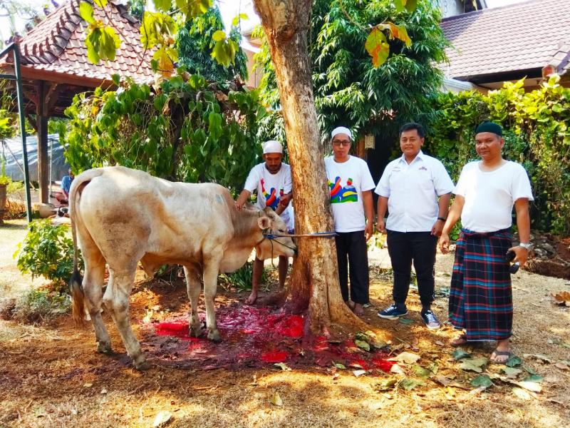 Sumbangan sapi kurban diserahkan langsung oleh Eko Putranto, Editor Mobilinanews (kedua dari kanan). (foto: Rani) 