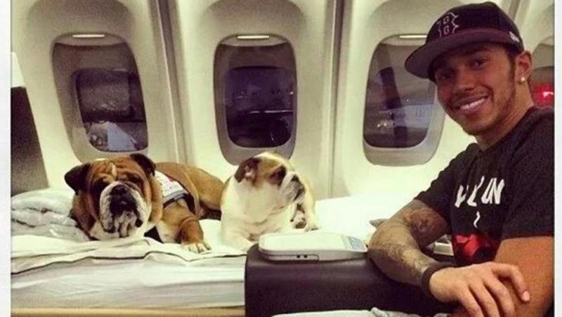Lewis Hamilton di jet pribadi bersama anjing kesayangan. (Foto: dogalize)