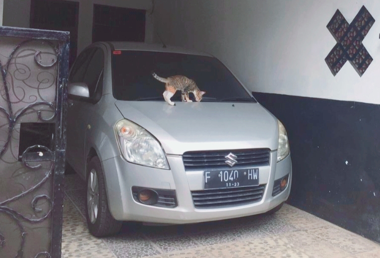 Menjaga kesehatan mobil parkir selama PSBB wajib dilakukan untuk menghindari jadi sarang binatang seperti kucing. (foto : Hilary)
