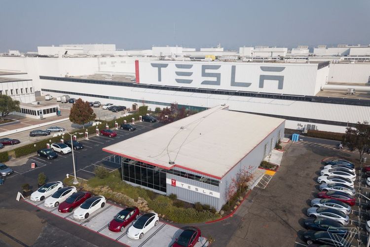 Pabrik Tesla yang memproduksi berbagai model mobil listrik