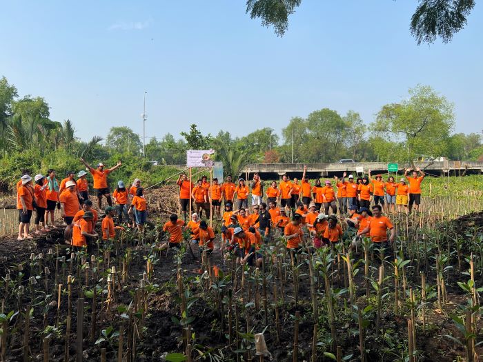 Aksi lingkungan FIF Group and partners saat menanam pohon Mangroove di Pantai Indah Kapuk (PIK) Jakarta Utara