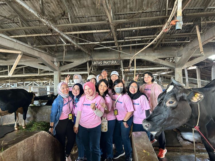 Kunjungan Goodyear Indonesia Women’s Network pada peternak susu sapi di Bogor